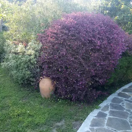 La Torretta Σαλέ